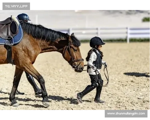国际马术赛事有哪些,二零二四年全球马术锦标赛精英骑手齐聚展现速度与优雅竞技传奇