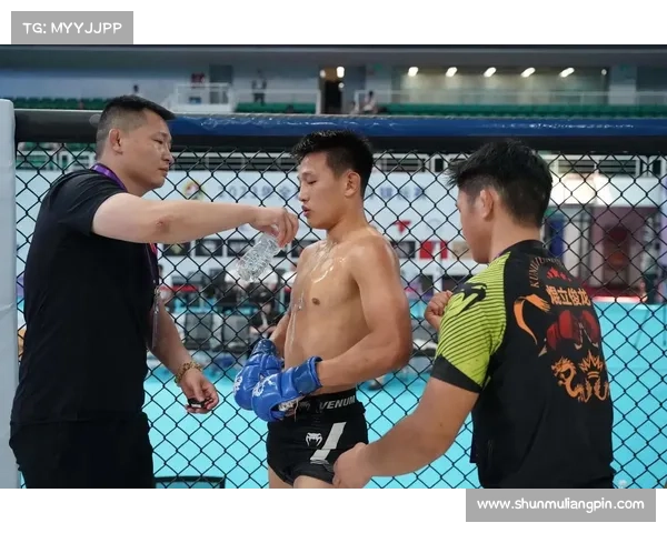 世界级mma格斗视频