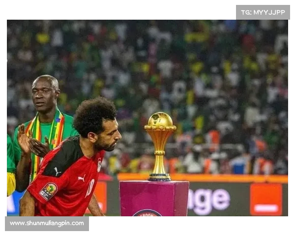 埃及最新赛事权威追踪全面解析比赛热点与发展趋势