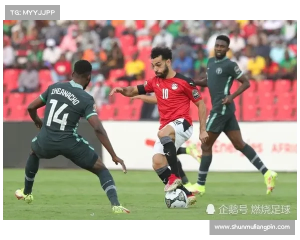 尼日利亚最近赛事_尼日利亚最新局势