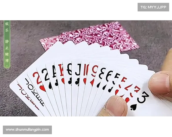 棋牌游戏巅峰争霸盛宴全国高手云集智慧对决开启新篇章